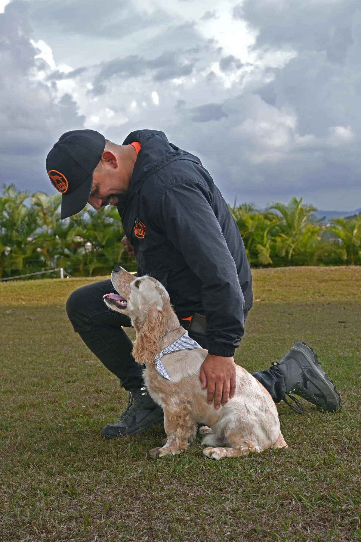 Perro en sesión de entrenamiento K9