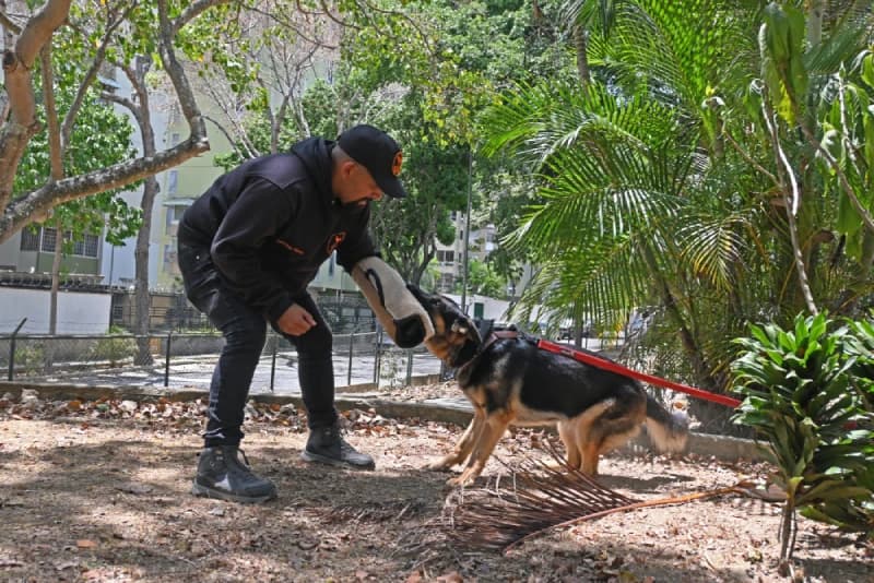 Entrenamiento K9