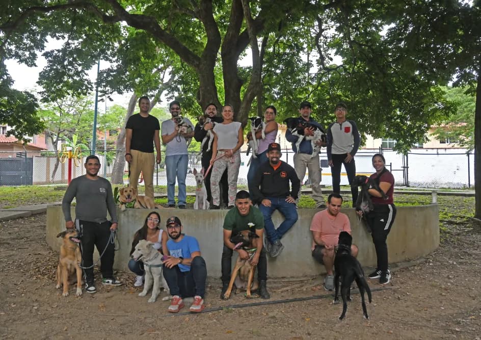 Clase de entrenamiento canino - Silver Dog Training